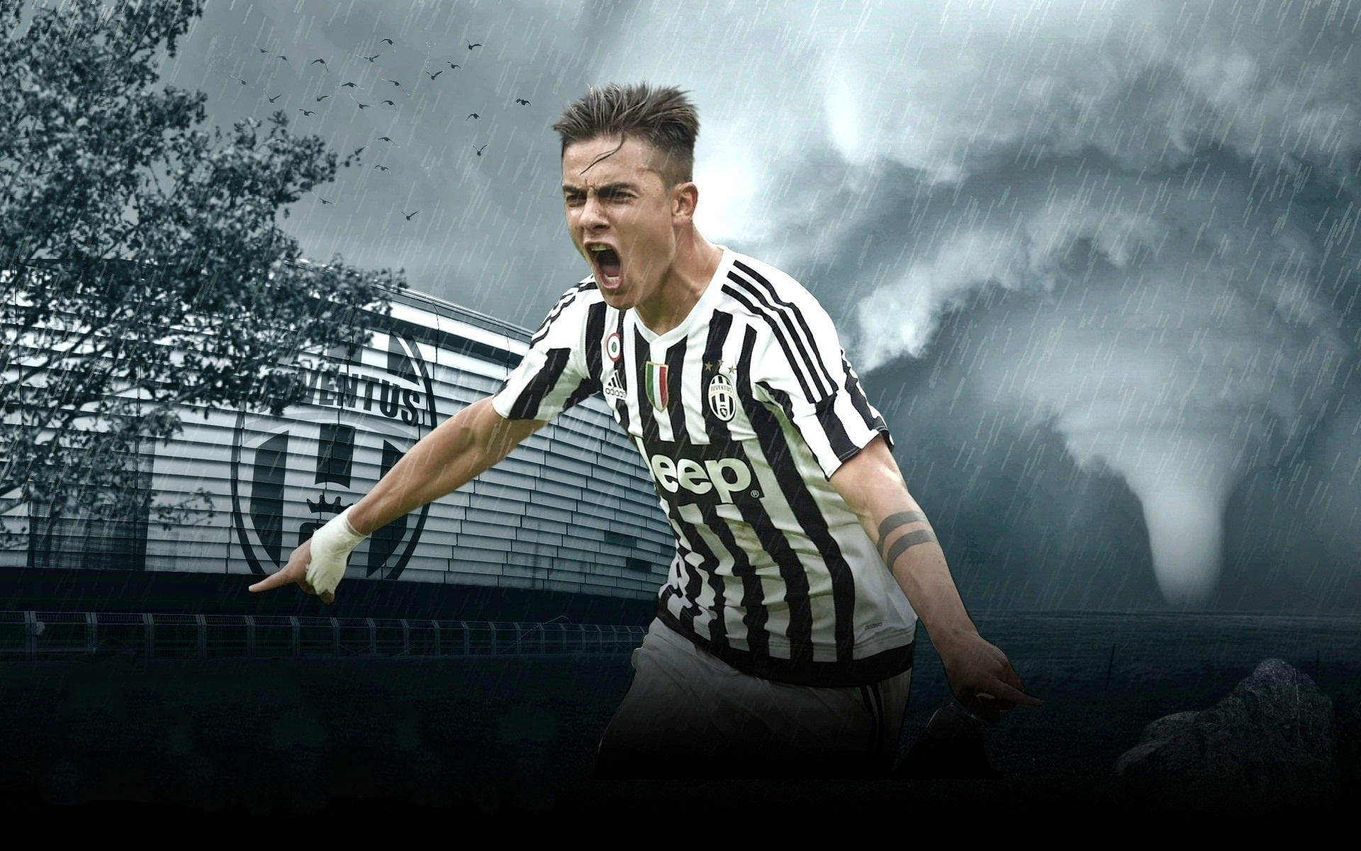 十五运群众赛事——太极拳，带你感受柔中带刚的美（十五运群众赛事·太极拳：邂逅柔与刚的力量之美）